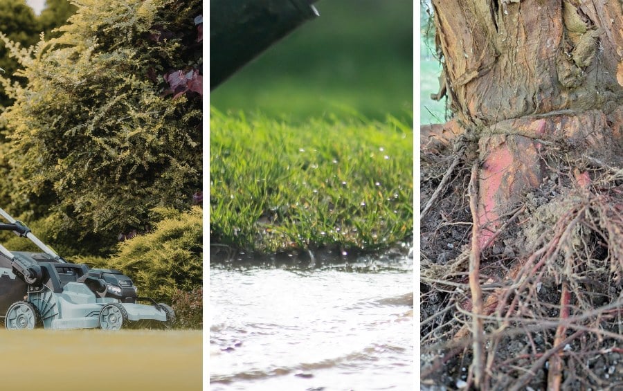 Three-panel image showing common warning signs of soil compaction around mature trees: a lawn mower in residential turf (left), water pooling on saturated lawn unable to absorb runoff (center), and surface tree roots emerging from the soil at the base of an established tree (right).
