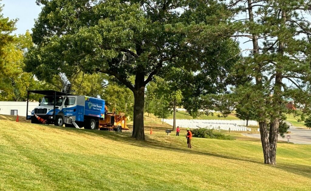 Arbor Masters bucket truck and chipper positioned on a grassy slope while a crew member in orange safety gear works near mature oak and pine trees.