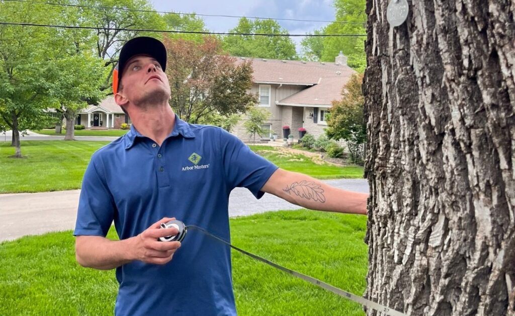 An Arbor Masters arborist in a blue polo shirt examines a mature tree trunk in a residential neighborhood during a spring assessment.