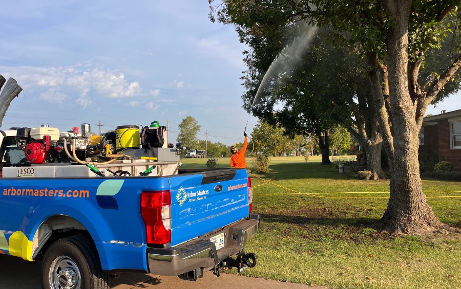 An Arbor Masters arborist in a blue polo shirt examines a mature tree trunk in a residential neighborhood during a spring assessment.