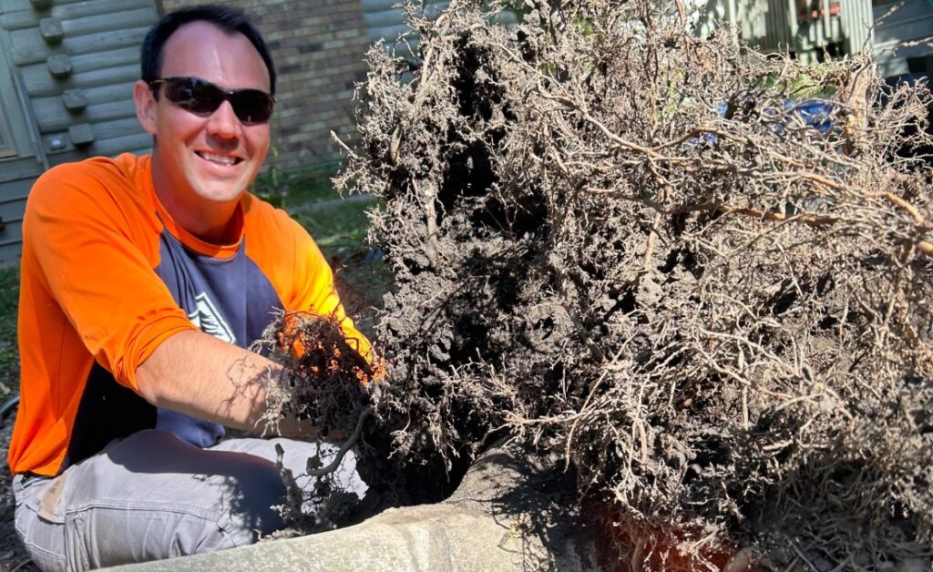 A member of the Arbor Masters team preparing to plant a tree in Liberty, MO.