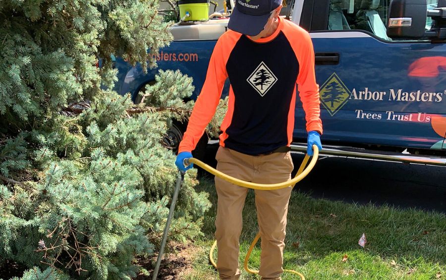 An arborist fertilizing an evergreen tree in Riverside, KS.