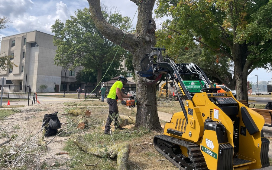 The Arbor Masters team removing a dead tree in Kansas City, MO.