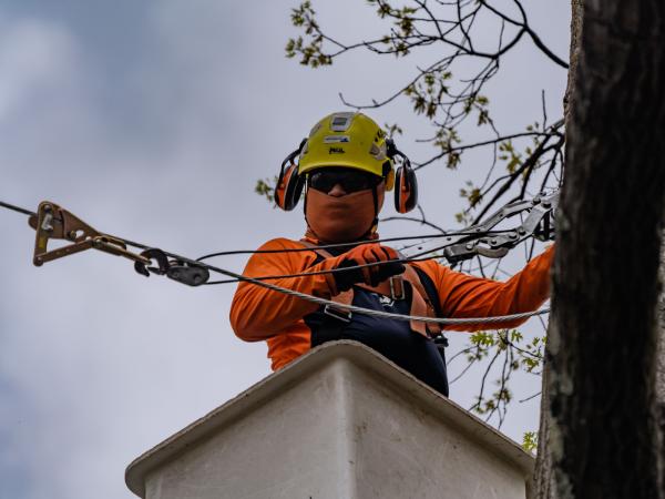 AM-Local-page-section-cabling-1