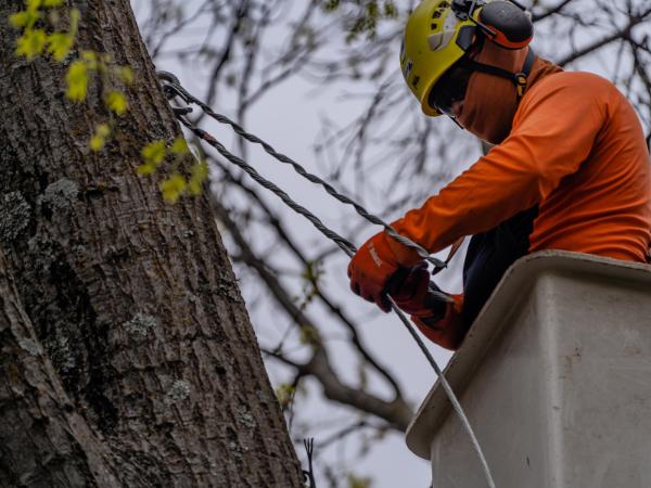 AM-Local-page-section-cabling-buckjet-white