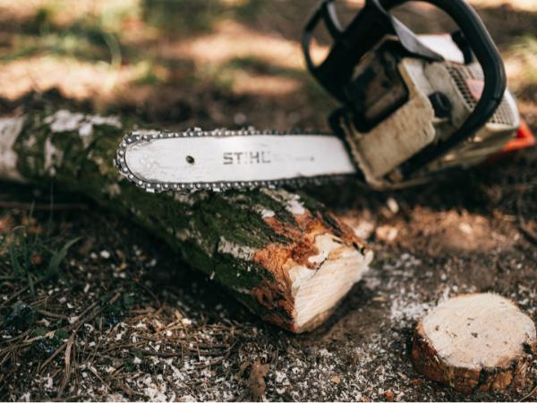 AM-Local-page-section-chainsaw-on-stump