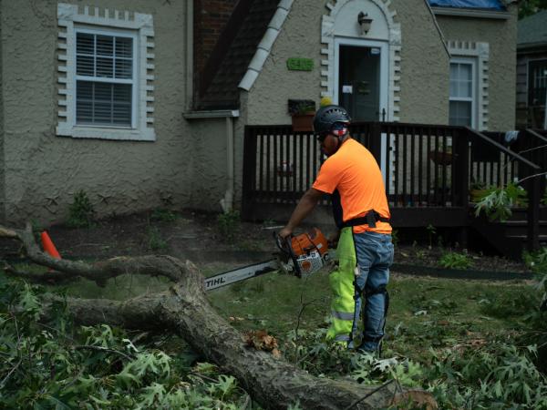 AM-Local-page-section-crew-chainsaw-trees