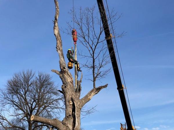 AM-Local-page-section-crew-hanging-hook