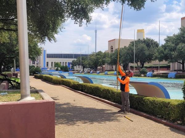 AM-Local-page-section-crew-pruning