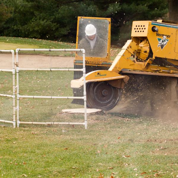 AM-Local-page-section-crew-stump-grinding