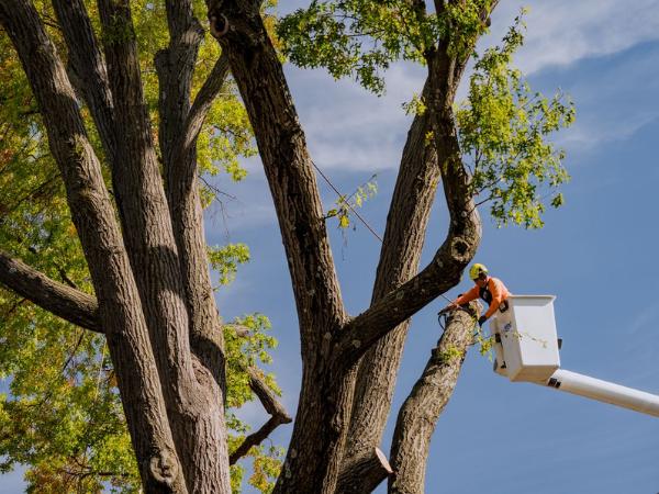 AM-Local-page-section-crew-white-bucket-cabling