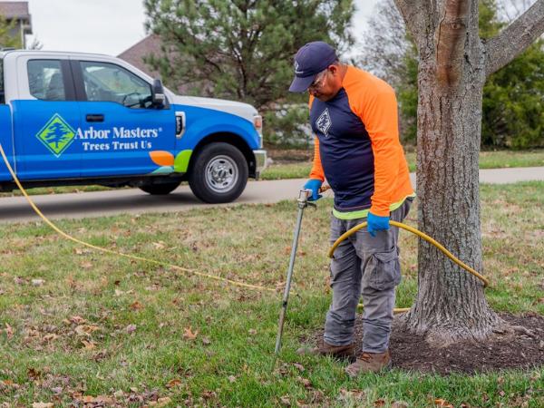 AM-Local-page-section-fertilization-01