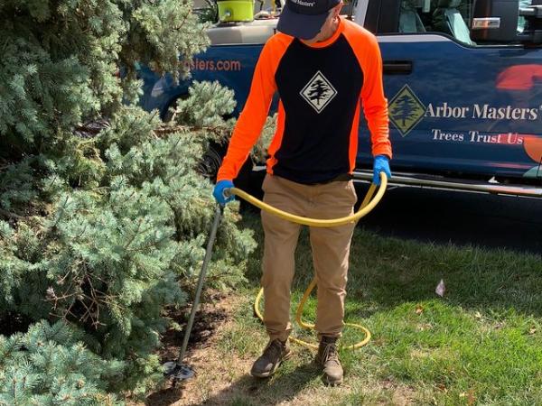 AM-Local-page-section-fertilization