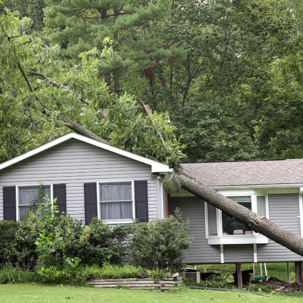 AM-Local-page-section-storm-fallen-on-house