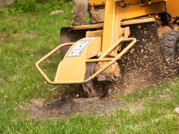 AM-Local-page-section-stump-grinder-1