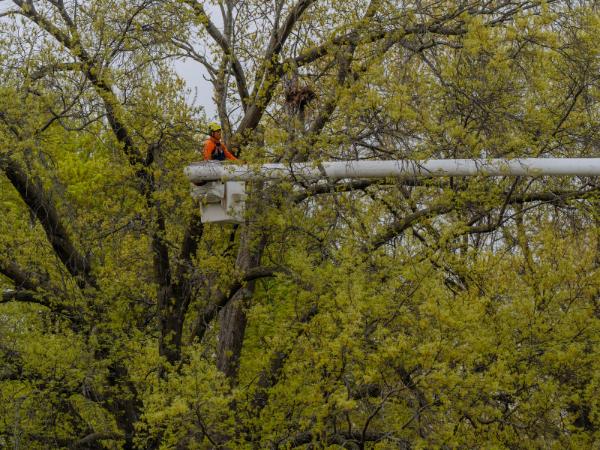 AM-Local-page-section-white-bucket-truck