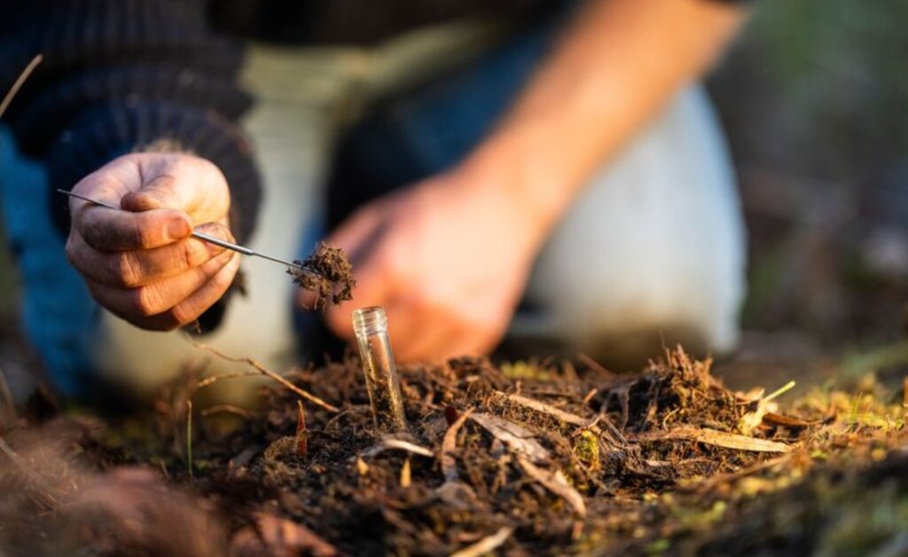 Hands collecting a soil sample with a probe into a test tube for soil testing in Oklahoma City.