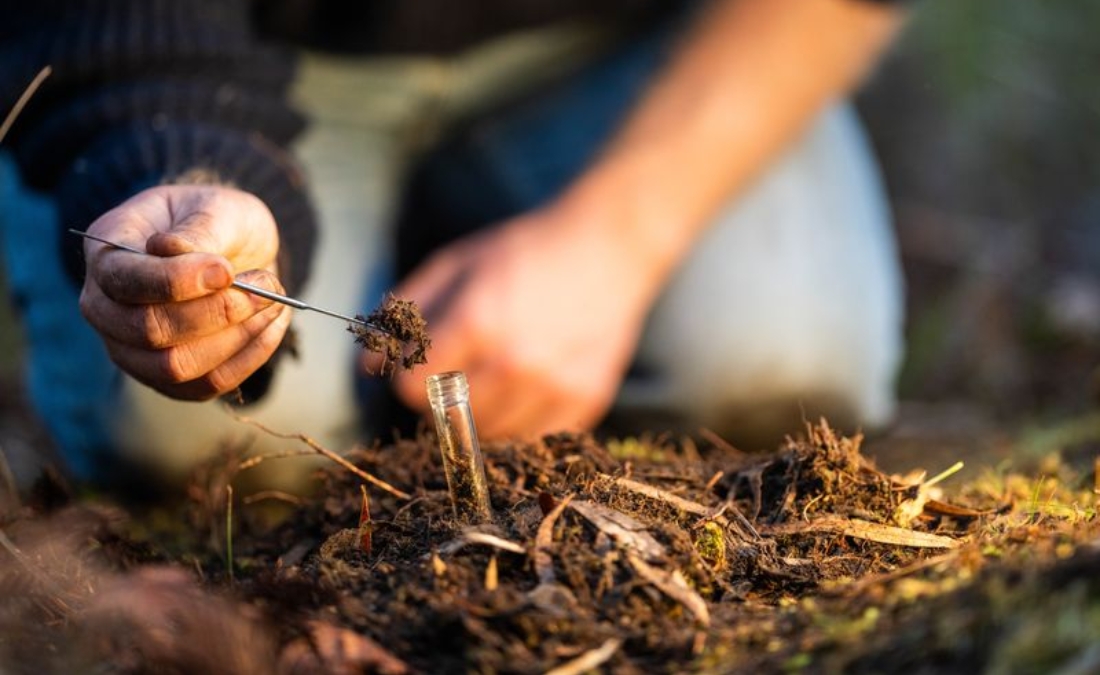 Hands collecting a soil sample with a probe into a test tube for soil testing in Oklahoma City.