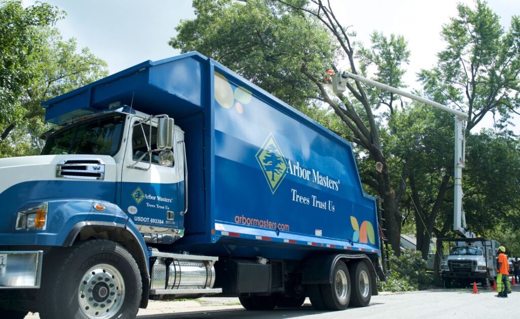 The Arbor Masters team removing a tree beside a street in Oklahoma City, OK.