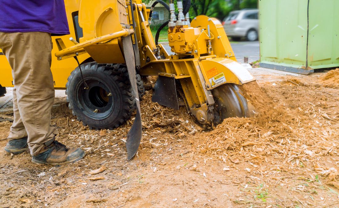 The Arbor Masters stump grinder chewing threw a stump in Oklahoma City, OK.