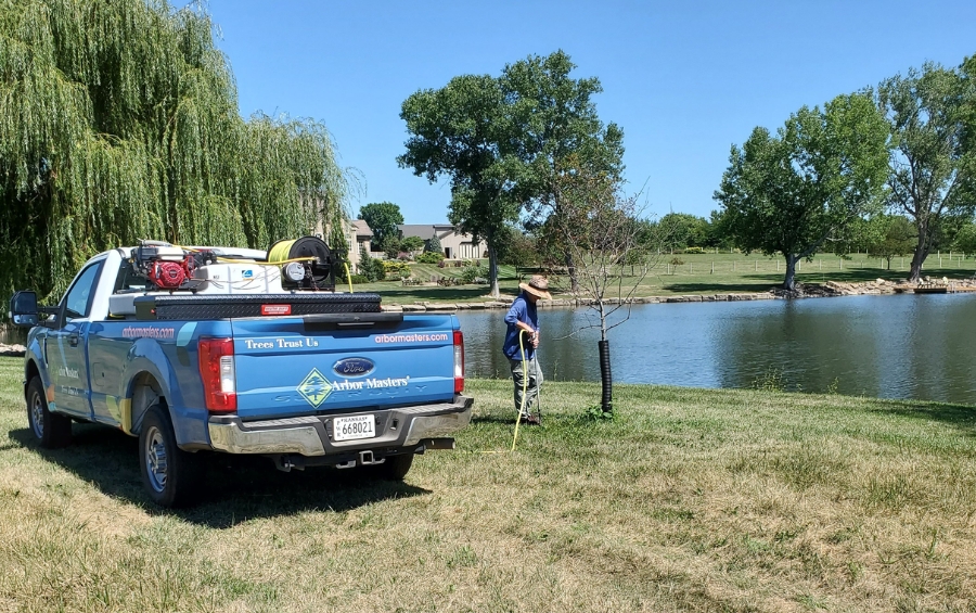 An Arbor Masters truck and arborist fertilizing a young tree near a pond in an Oklahoma City yard.