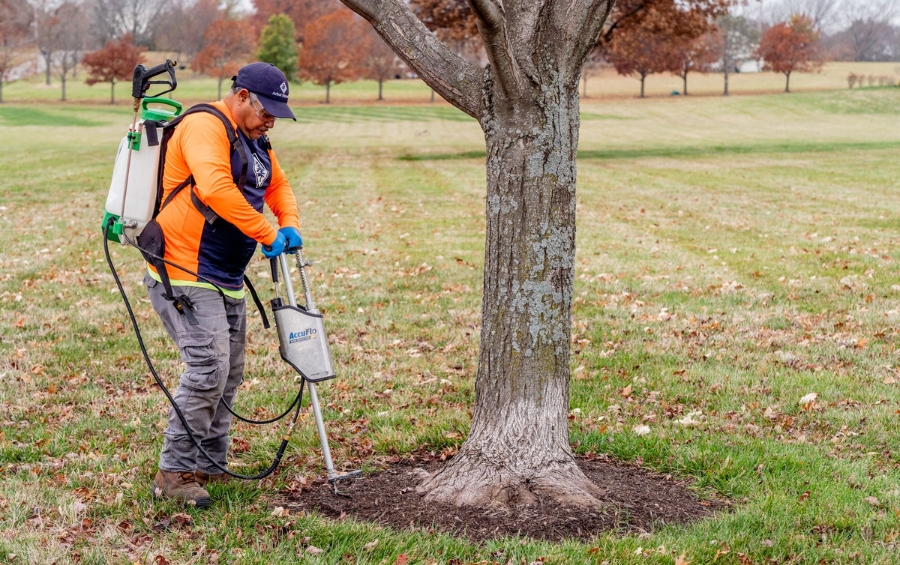 An Arbor Masters arborist performing deep root fertilization injection treatment on a tree in Oklahoma City during the fall.