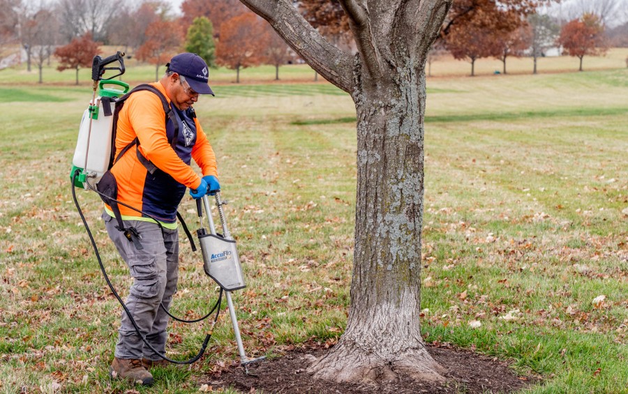 An arborist performs fall deep-root fertilization for a mature tree outside of Oklahoma City, OK.
