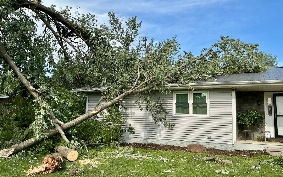 A fallen tree that has collapsed onto a residential home after a severe storm, showing the potential damage that can occur without preventative cabling and bracing.