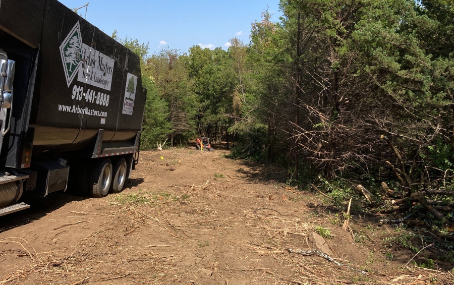An Arbor Masters truck on site during a selective lot clearing project with preserved trees and cleared areas visible.