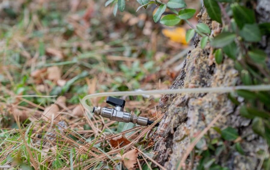 Tree injection port delivering systemic pesticide treatment into the base of a tree trunk to protect against emerald ash borer.