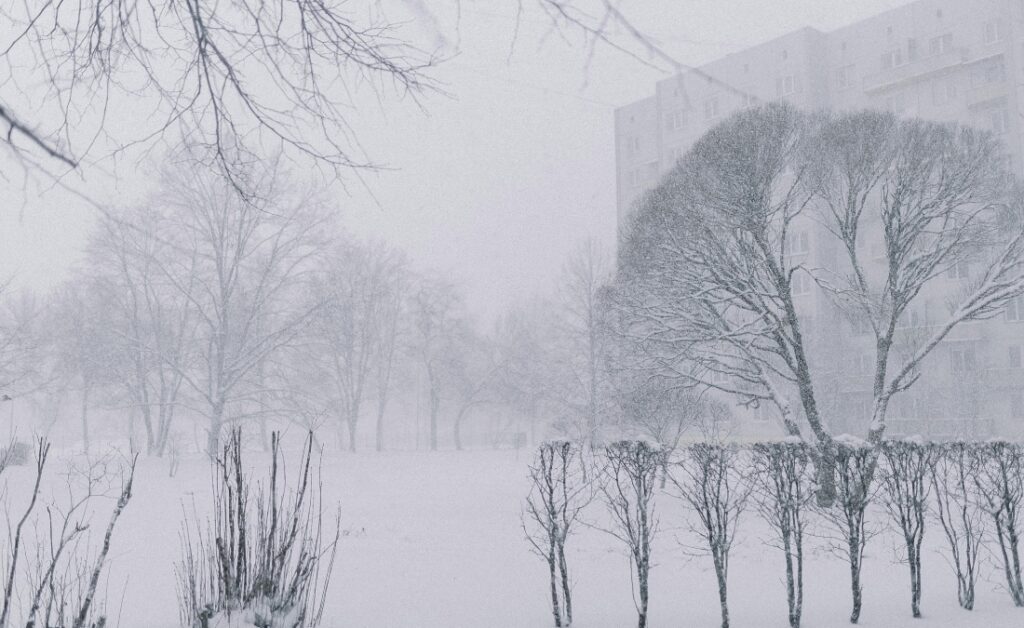Ice-covered trees and shrubs create a winter landscape after an Oklahoma City ice storm.