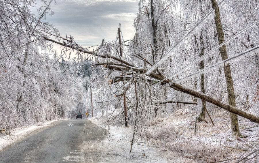 Fallen trees are blocking a road after ice storm damage in Oklahoma.