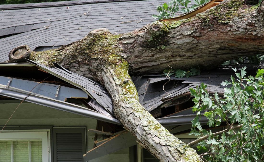 Large tree limb crashed through a roof after a severe storm in Raytown, MO, causing structural damage and broken shingles.