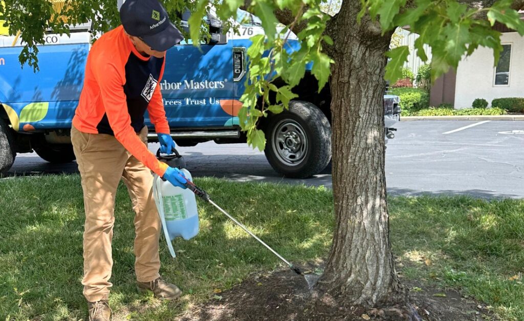 An arborist from Arbor Masters spraying a tree with preventive insecticides in Lee’s Summit, MO.