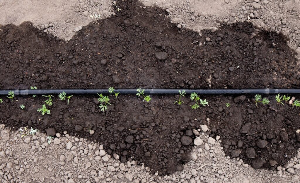 A soaker hose watering the ground in Lee’s Summit, MO.