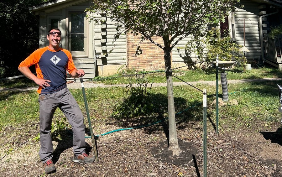 An Arbor Masters team member poses next to a newly planted tree with stakes in Grandview, MO.