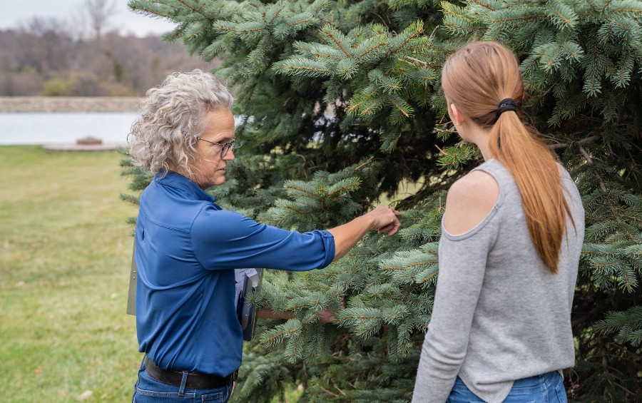 An arborist from Arbor Masters talking to a customer about their tree in Grandview, MO.