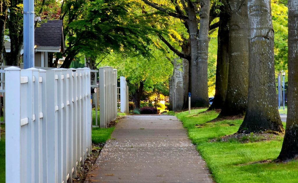 A neighborhood in Shawnee with white fences, pavement and trees on the front yard.