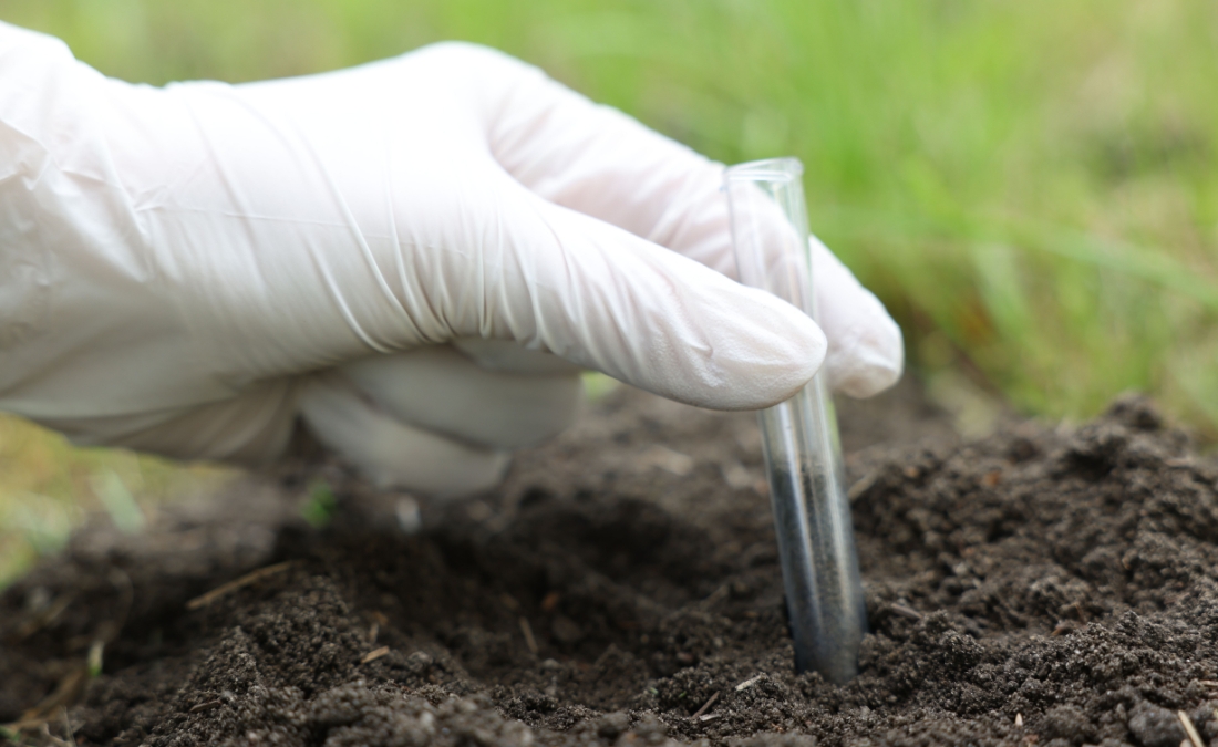 Gloved hand collecting a soil sample with a test tube from dark topsoil in a residential lawn for spring soil testing.