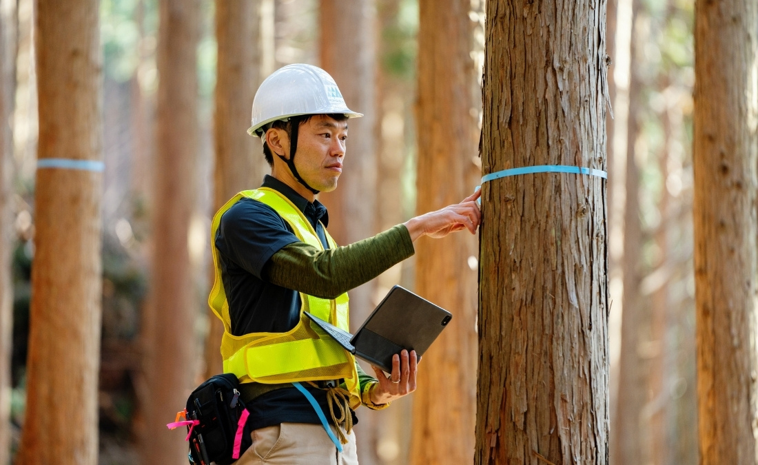 Arborist in safety vest and hard hat measuring tree trunk diameter with measuring tape while holding a tablet for documentation during a plant health care inspection.