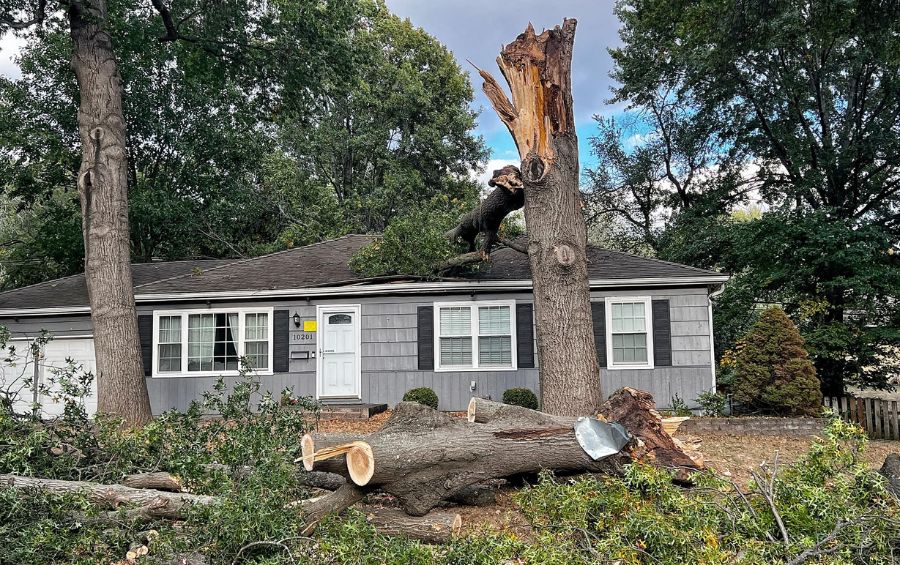 Downed branches and sections of a tree trunk in a yard in Mission Hills, KS.