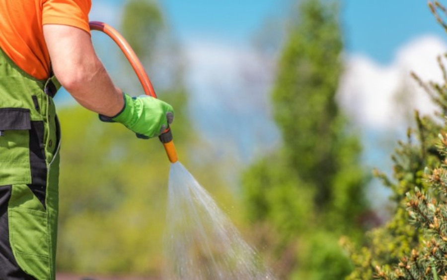 Homeowner in Kansas City using a garden hose to water trees in summer, demonstrating proper seasonal tree care techniques.