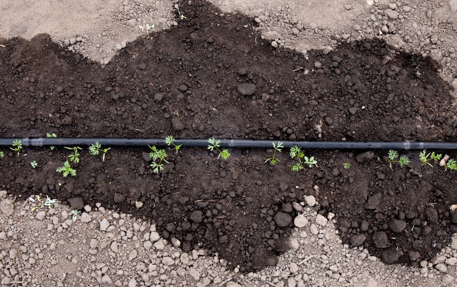 A soaker hose watering the ground during a heat wave in the Midwest.