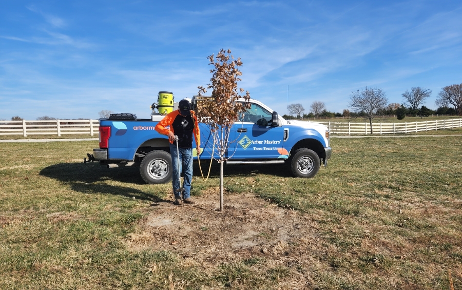 Arbor Masters crew member performing deep root fertilization treatment on a tree using specialized equipment next to company truck in Shawnee, Kansas.