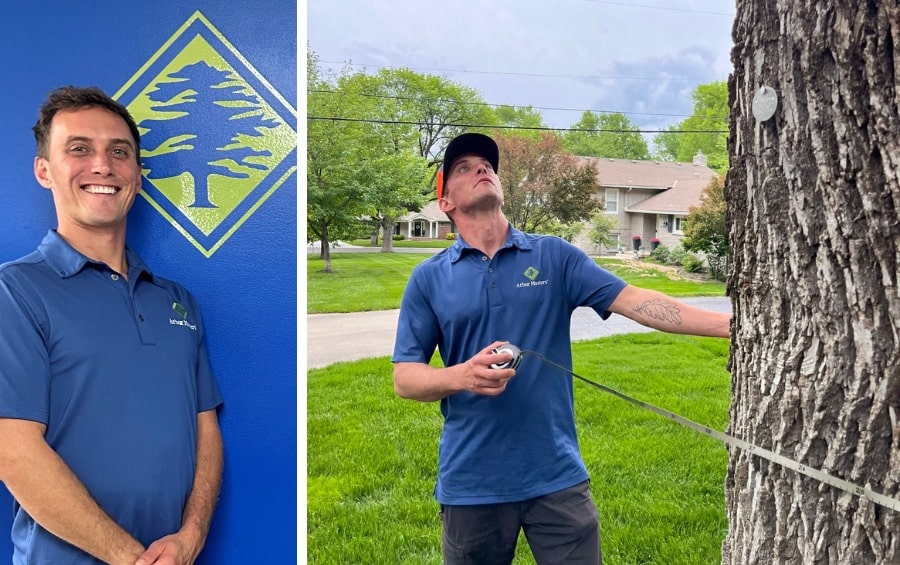 Three photos side by side: an Arbor Masters team member in a blue branded polo stands in front of a blue wall with the company's tree logo (left), and another Arbor Masters team member in the same blue polo and an orange cap measures the diameter of a large mature tree trunk in a residential front yard (right).