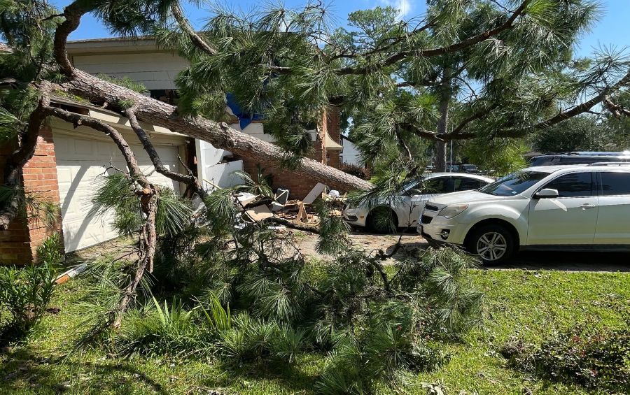 A tree that fell from a storm in Colleyville, TX.