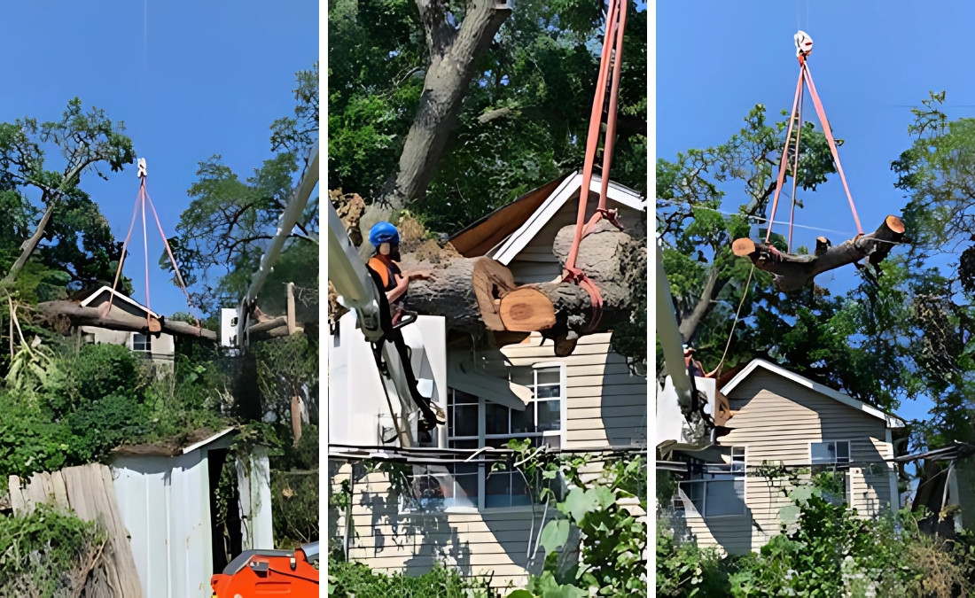 The Arbor Masters team examining a storm-damaged tree in Tulsa, OK, emergency tree removal and clearing debris.