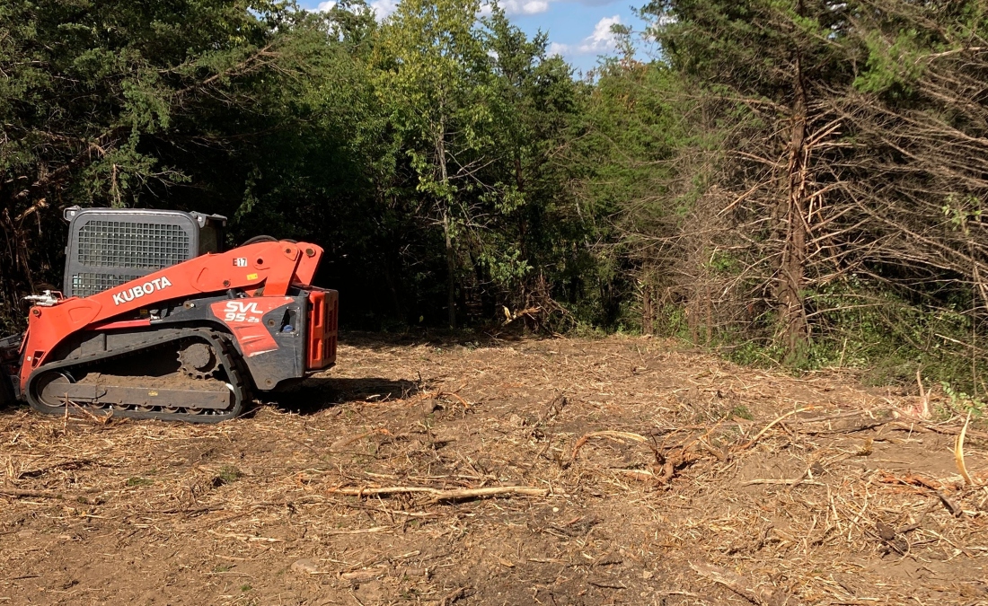 Kubota compact track loader performing selective clearing while preserving healthy trees in a Tulsa wooded area.