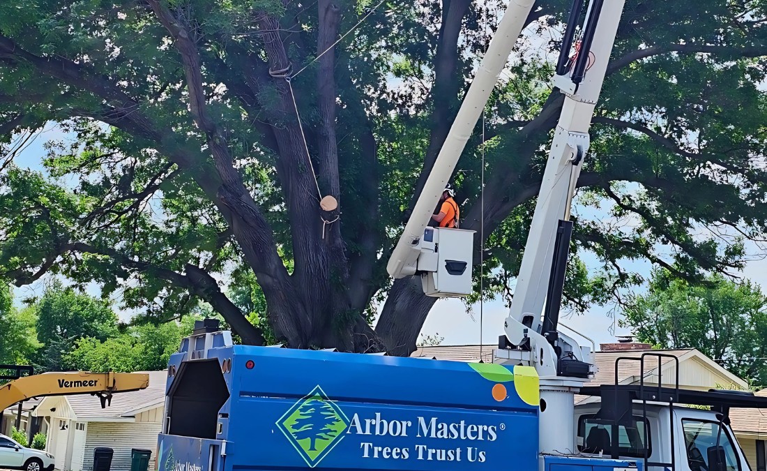 An arborist from Arbor Masters trimming a tree in the winter from a bucket truck in Tulsa, OK.