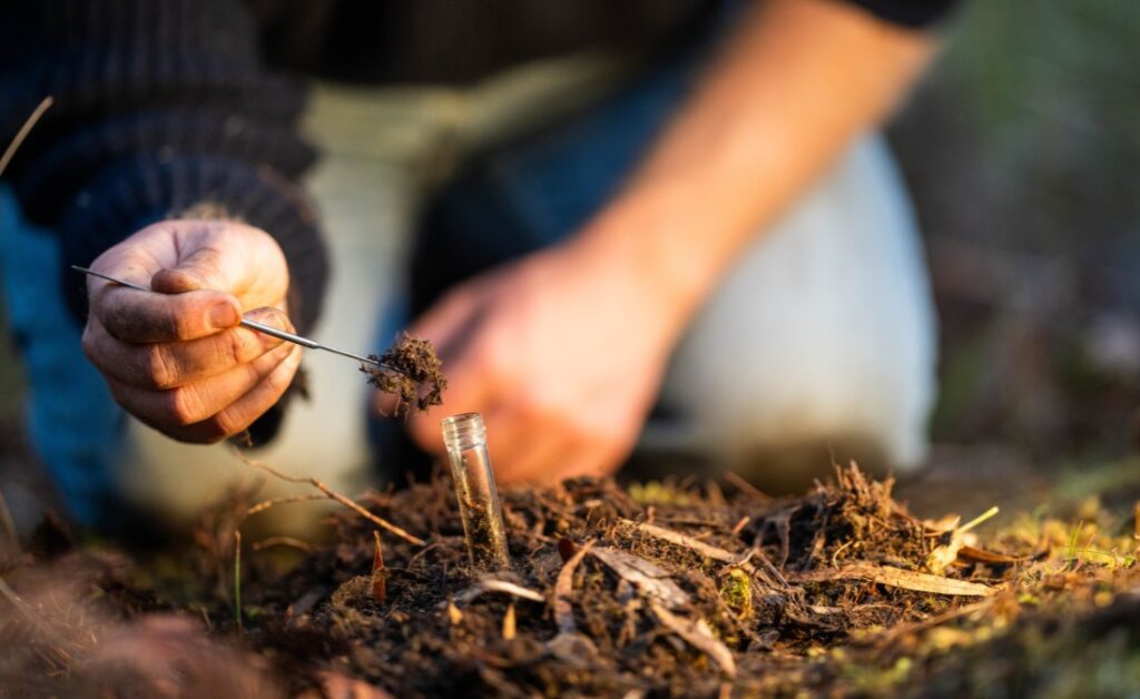 A homeowner gathering soil for a soil test in Tulsa, OK.